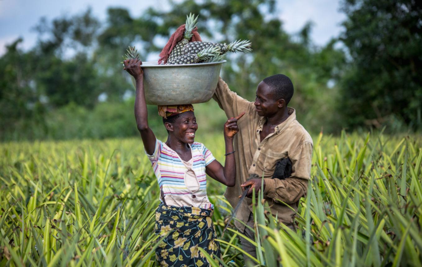 Évaluation du programme de coopération 2019-2023 entre le Bénin & la Belgique