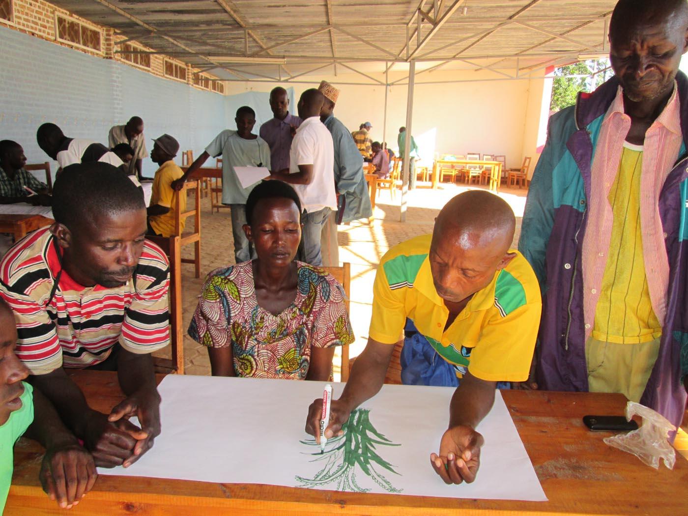 Programme d'Appui Institutionnel et Opérationnel au Secteur Agricole du Burundi (PAIOSA) : Augmentation et meilleure valorisation des productions agricoles et d'élevage