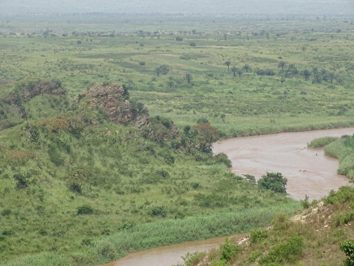 Projet d’Appui à la Conservation des ECOsystèmes du bassin hydrographique de la Rusizi (PACECOR) au Burundi – « TUBUNGABUNGE ISI »