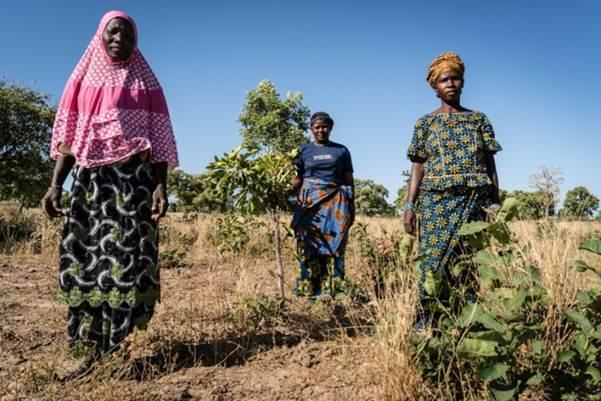 Financement climatique de la Région Wallonne complémentaire aux interventions Enabel PTCS-Burkina Faso et Sénégal et Latawama