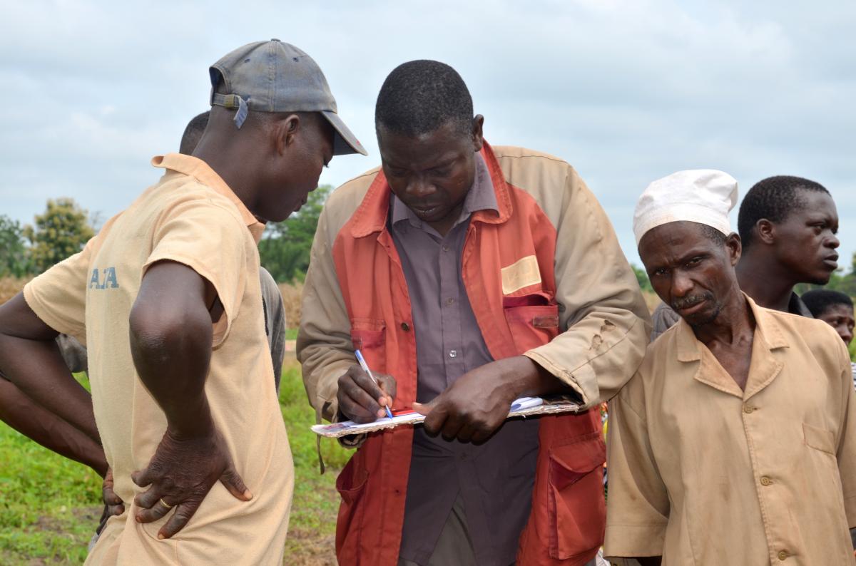 Programme d'appui au Développement des Filières Agricoles /Anacarde  (PROFI - Anacarde)