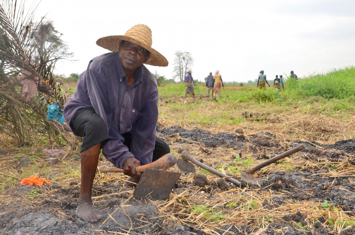 Appui au renforcement des institutions dans le secteur agricole au Bénin