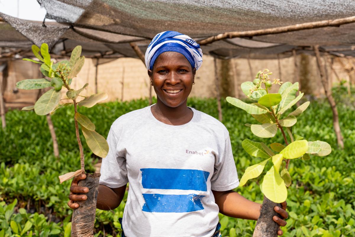 Amélioration et sécurisation de la plus-value économique des acteurs de la filière anacarde par une intégration formelle dans des clusters performants, respectueux des normes environnementales, social