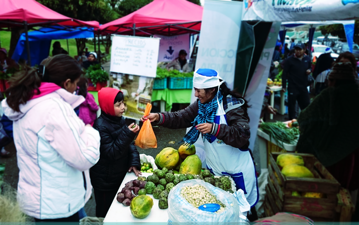 Proyecto de apoyo a la agricultura familiar