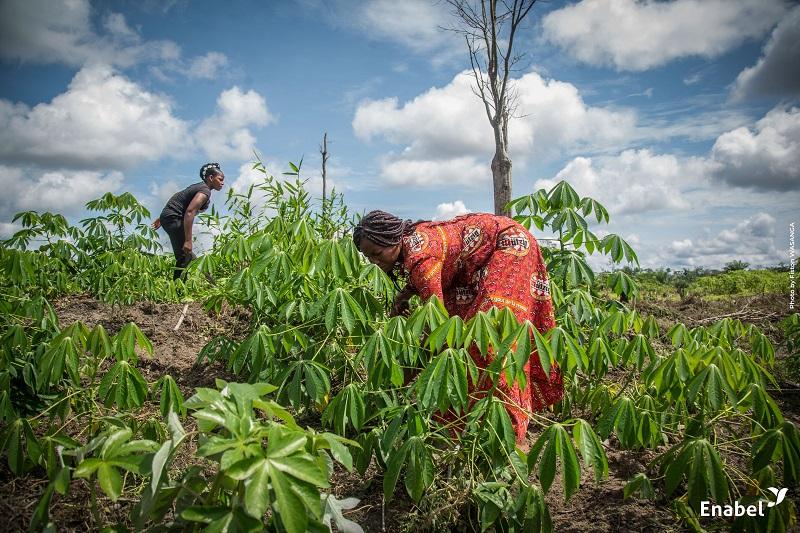 Projet d’appui à la Gouvernance, l’Insertion et la Formation agricole et rurale dans la Tshopo