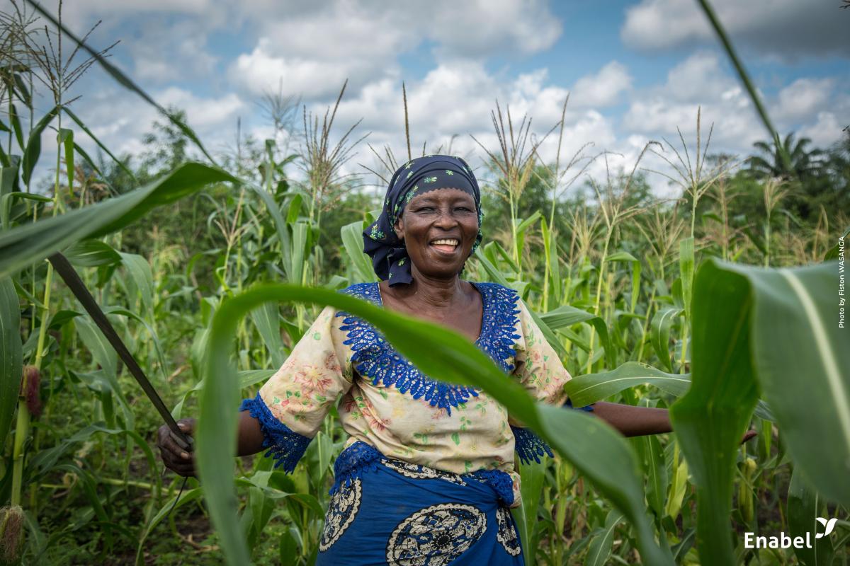 Pilier 3 : Sécurité alimentaire et agriculture durable; Volet 1 : Agriculture familiale et entreprenariat agricole et rural - Sud Ubangi