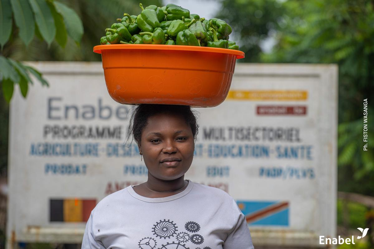 Pilier 3 : Sécurité alimentaire et agriculture durable; Volet 1 : Agriculture familiale et entreprenariat agricole et rural - Tshopo