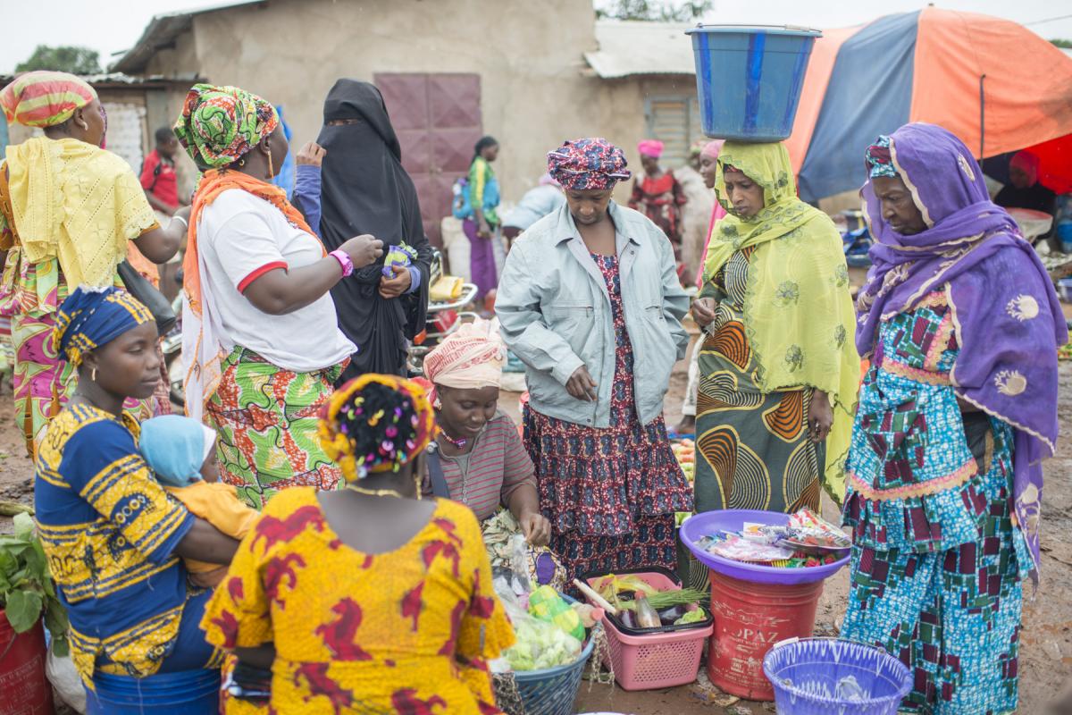 Expertise Portefeuille Guinée 2019 - 2023