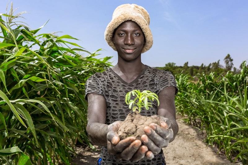 Rural Infrastructure for Employment Creation in The Gambia