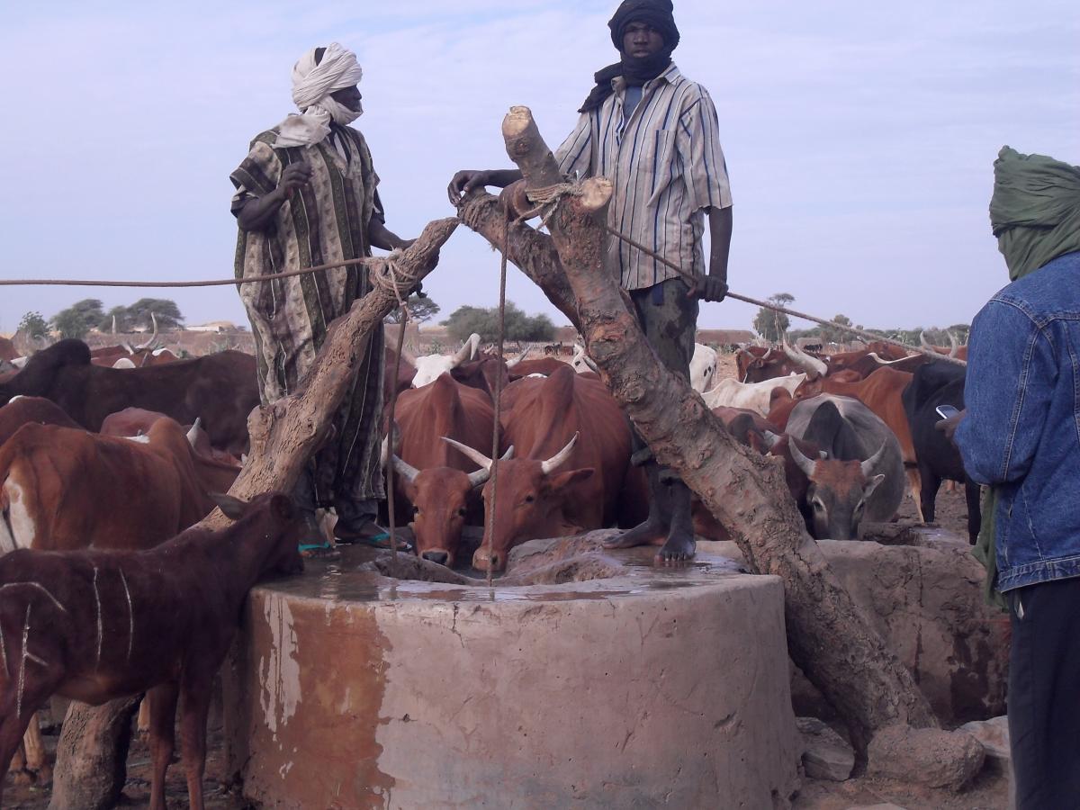 Appui au renforcement de l’Elevage et de l’économie pastorale au niveau de la Région de Koulikoro exécuté par Enabel