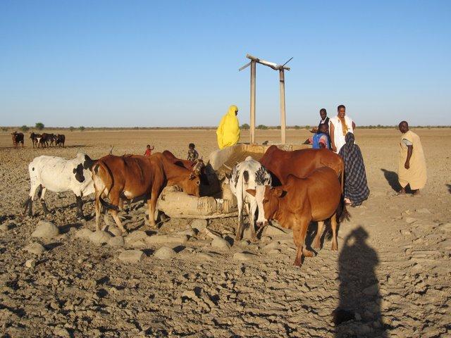 Promotion du développement de filières agricoles et pastorales durables