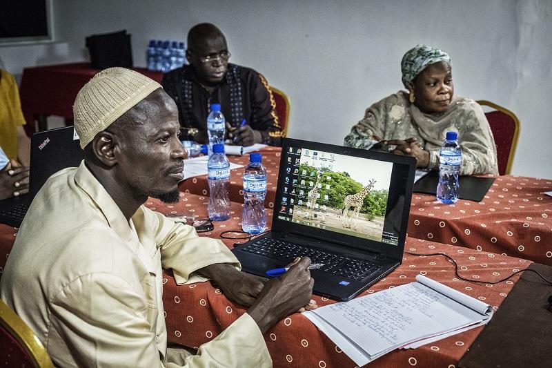 Intervention Renforcement des Capacités