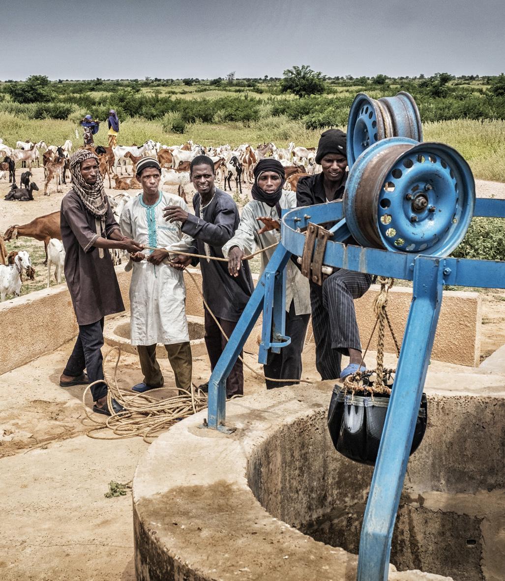 Résilience agro-sylvo-pastorale Ouest Niger