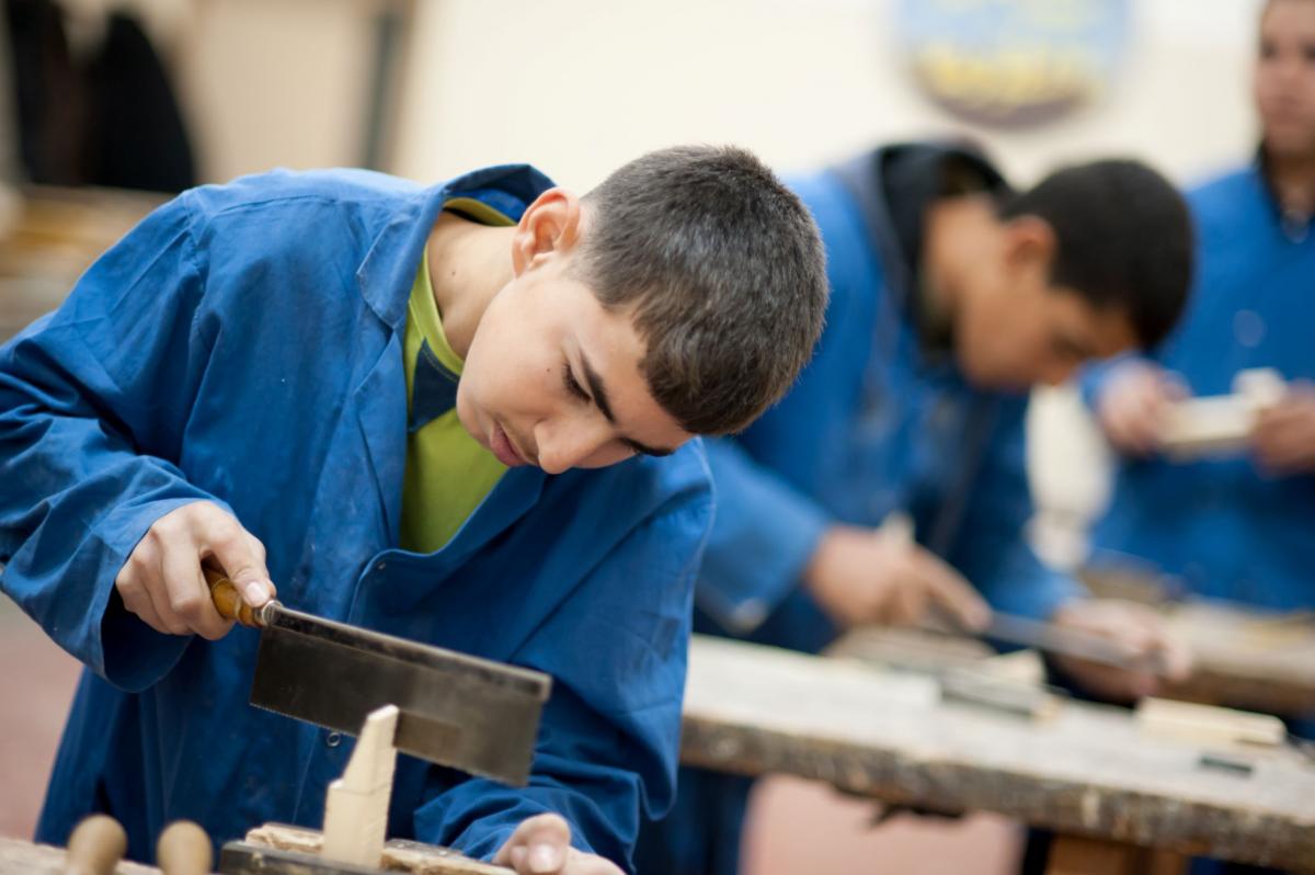 Skilled Young Palestine - Improving Resilience and Job Creation for Youth