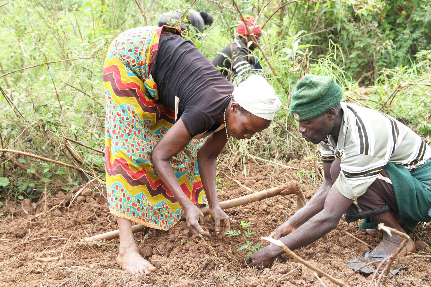 Transforming Eastern Province through Adaptation and Mitigation