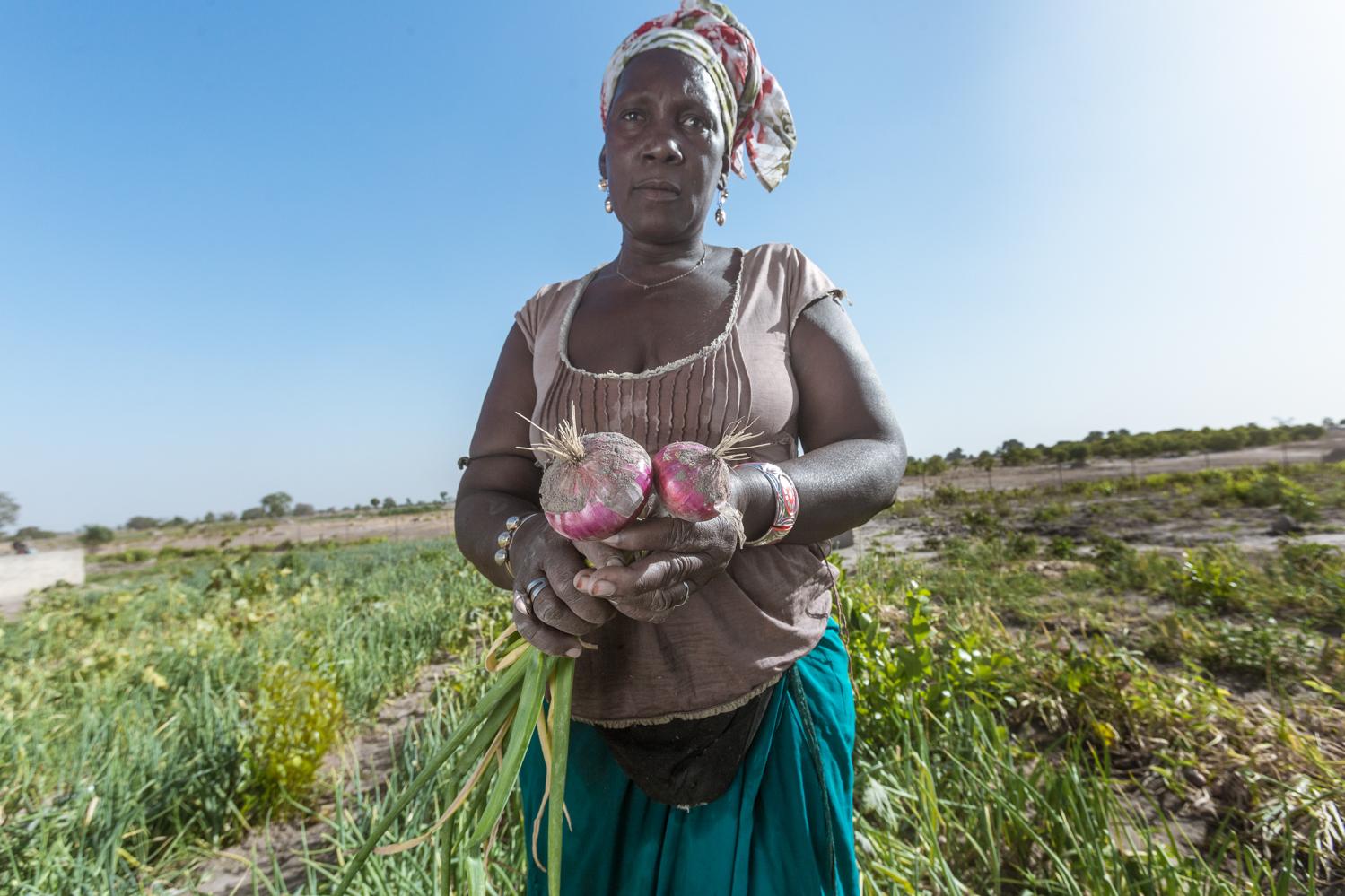 Portefeuille Régional Thématique Climat - Volet Sénégal 2022 - 2026