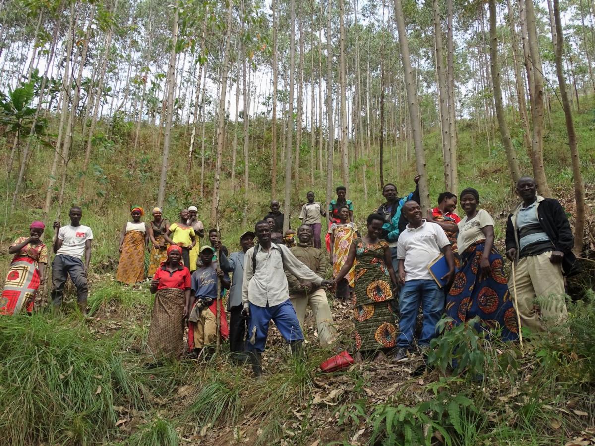 La protection des bassins versants, un point d’attention pour le programme PAIOSA au Burundi