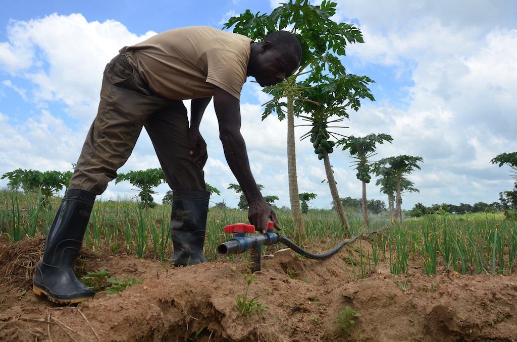 Vers l’élaboration d’une nouvelle stratégie de développement du secteur agricole au Bénin