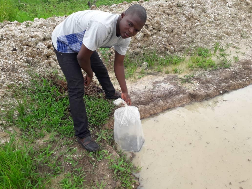 Des Alevins de Tilapia dans les étangs de Boukoumbé, Matéri et Cobly pour le bien-être des Populations