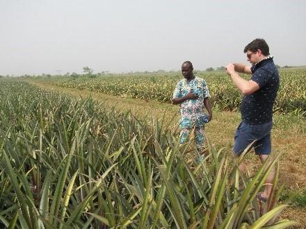 Top Harvest au Bénin pour explorer les possibilités d’importer en Belgique de l’ananas frais du Bénin