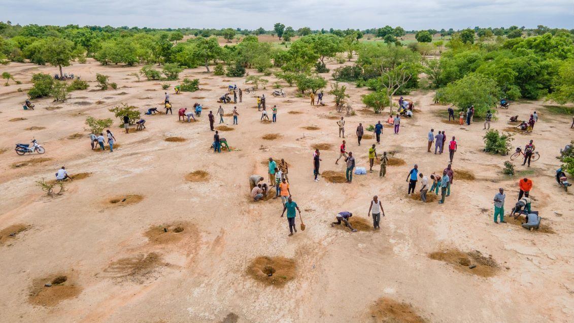 Plantation de 28 000 arbres pour les Produits Forestiers Non Ligneux (PFNL) au Burkina Faso