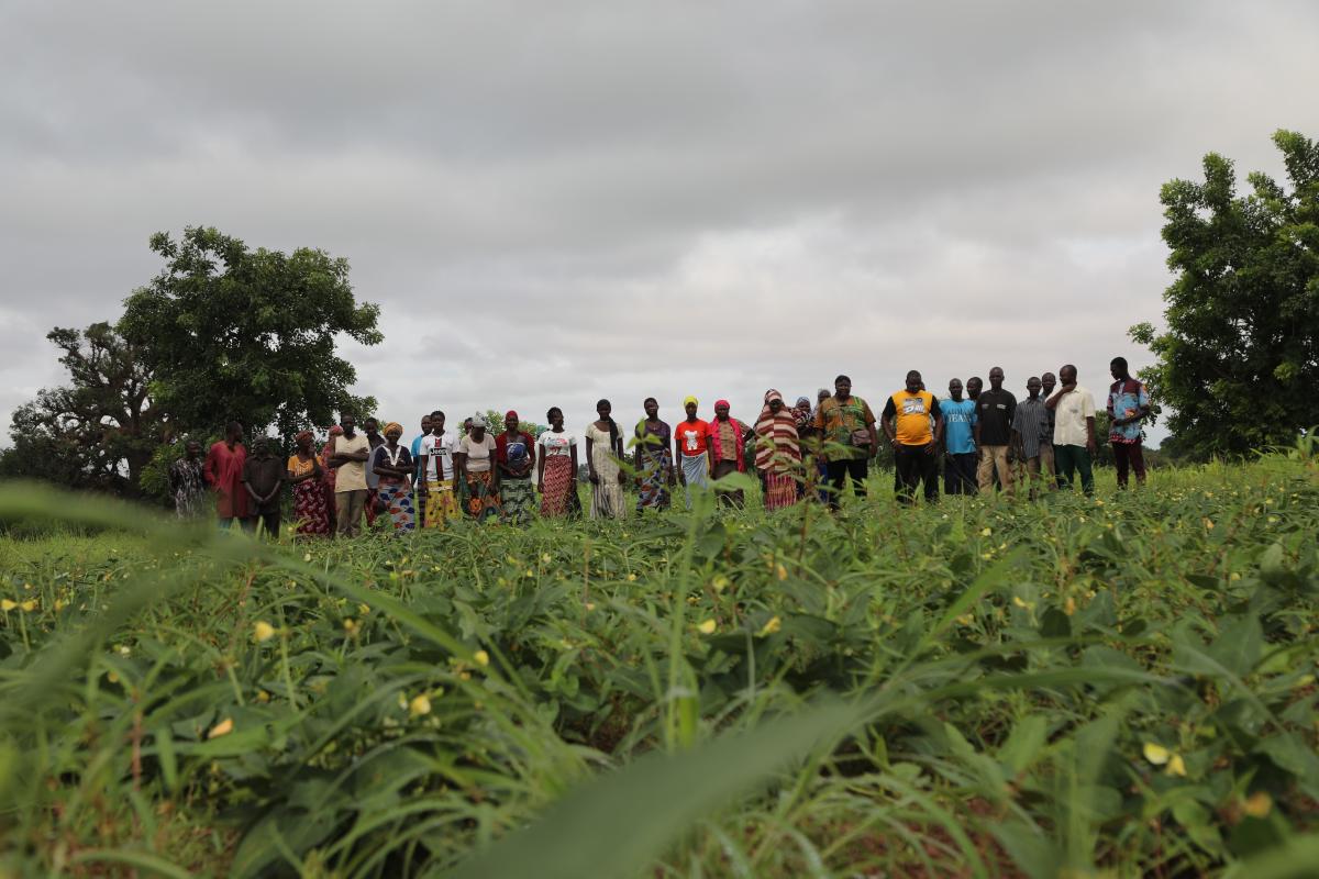 Agroécologie au Burkina Faso : Les Champs Écoles Paysans, moteurs de résilience et de productivité rurale