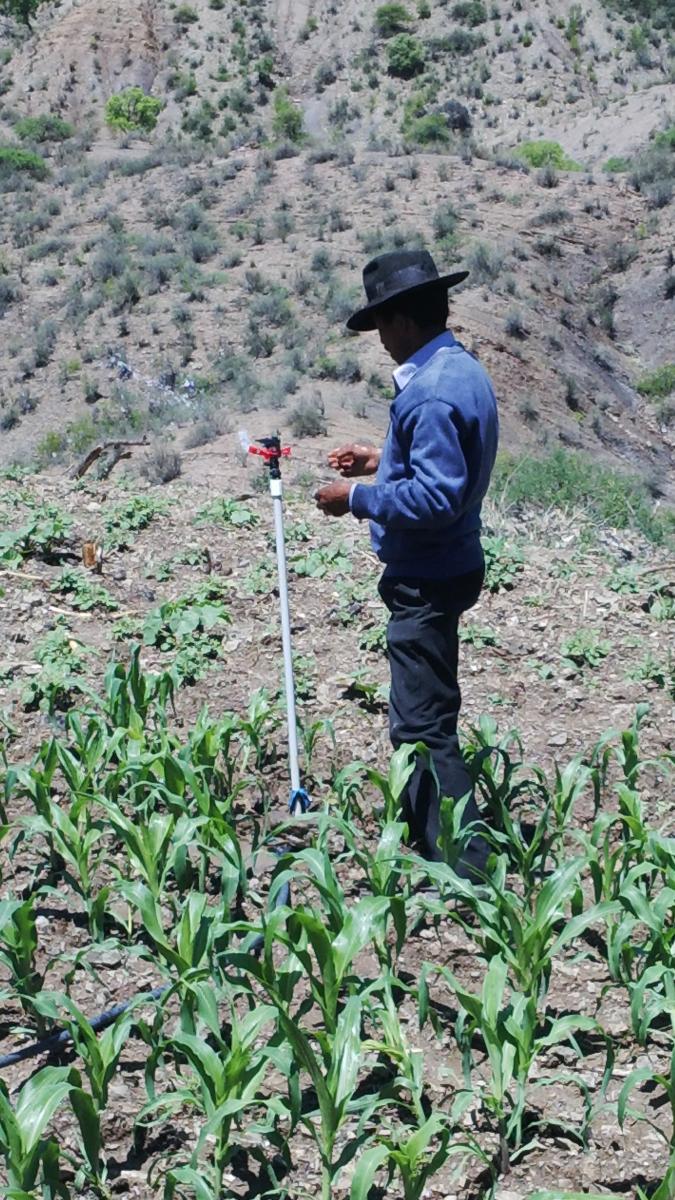 40 familias de regantes cuentan con agua para riego en Katiopampa (Yamparáez)