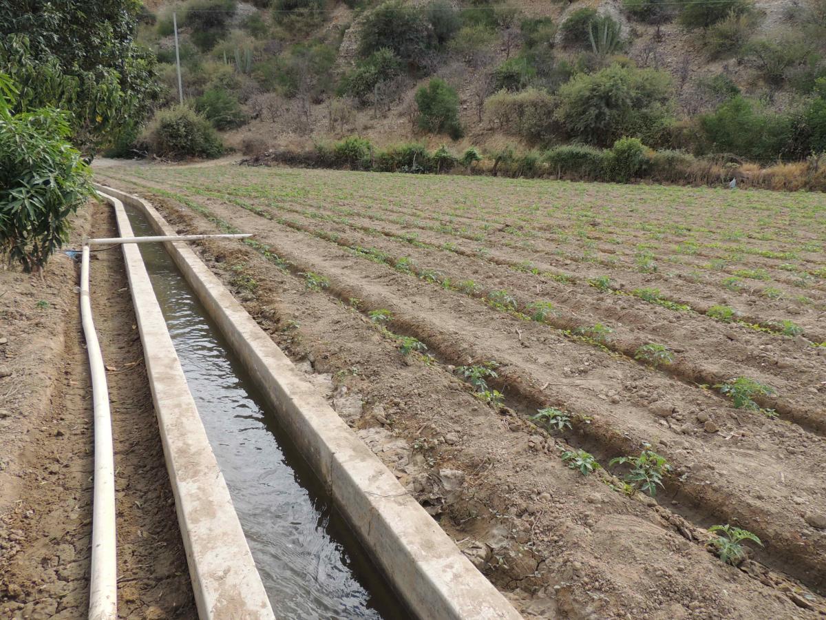 UN NUEVO CANAL DE IRRIGACIÓN EN EL MUNICIPIO OMEREQUE GARANTIZA LA SEGURIDAD ALIMENTARIA DE 50 FAMILIAS