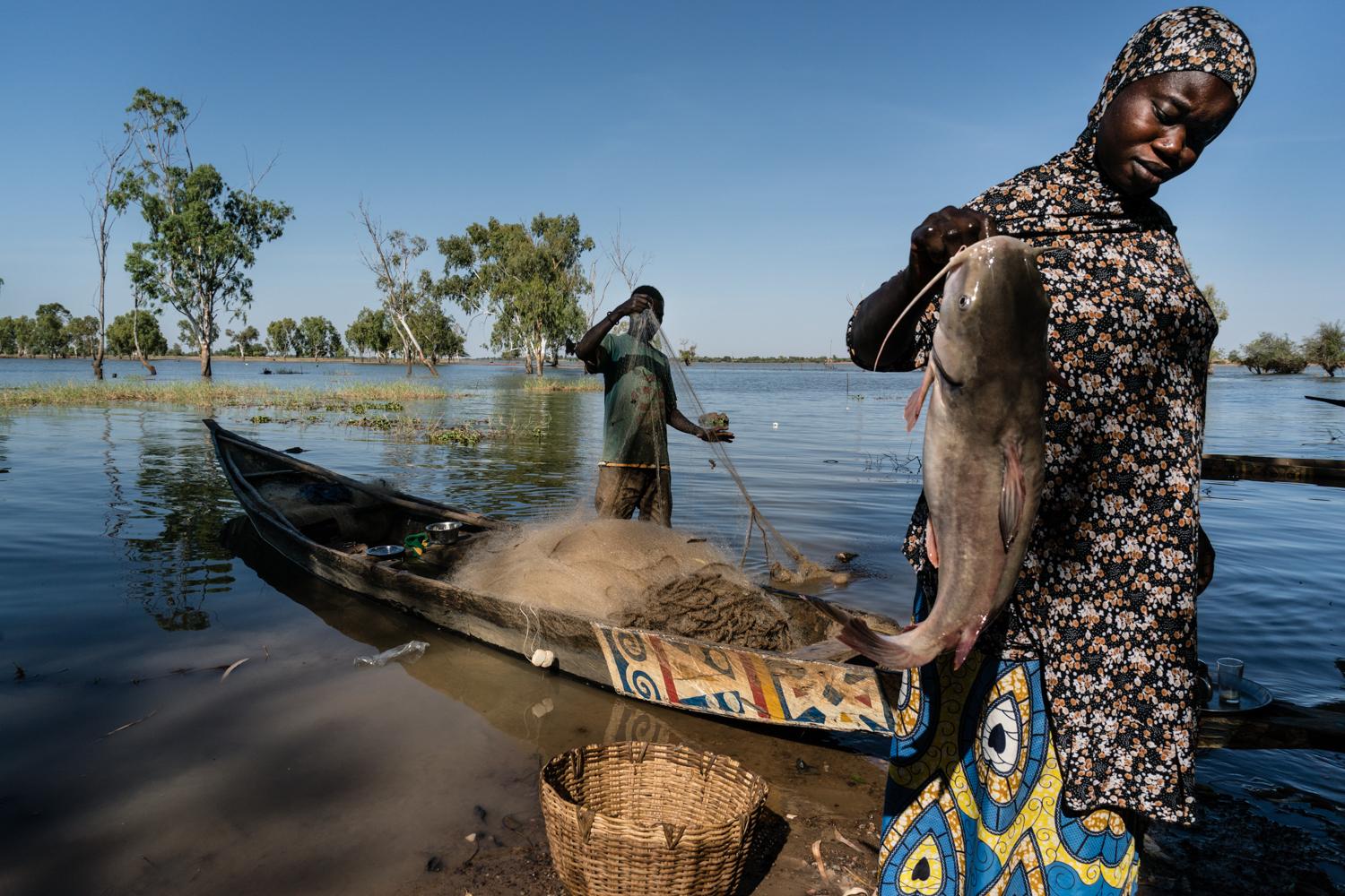 Appui à la filière Halieutique au Mali : des résultats prometteurs pour réduire l’insécurité alimentaire 