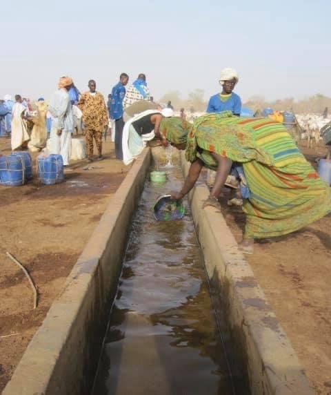 Périmètre Pastoral au Mali,  une réponse résiliente à la dégradation des conditions de vie des pasteurs dans le cercle de Nara