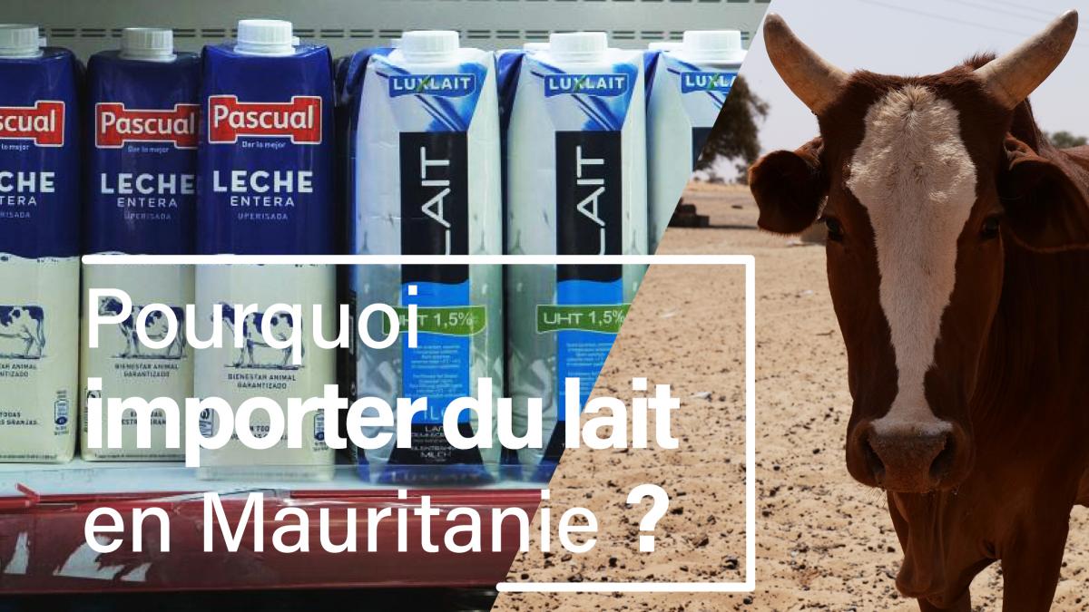 Découvrez en vidéo le travail accompli dans le sud-est de la Mauritanie!