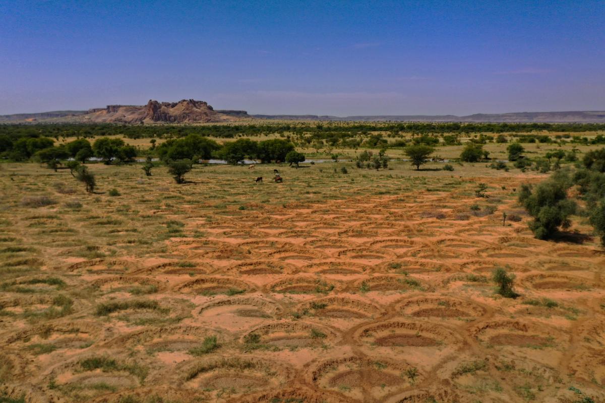 Un nouveau partenariat pour le Rimfil; Agri-Sahel