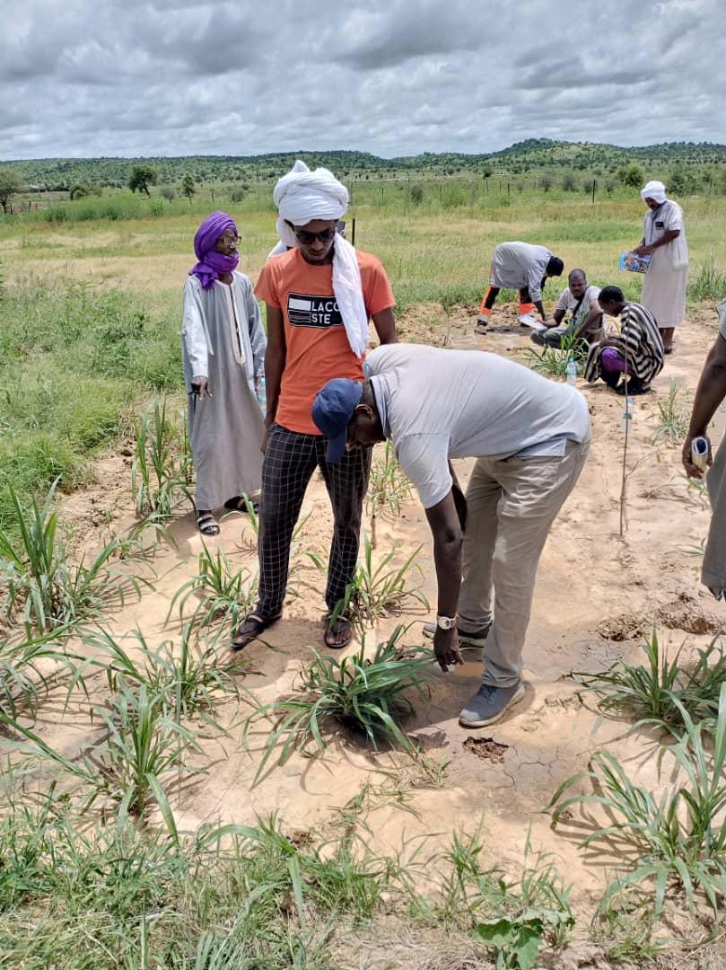 Enabel Mauritanie promeut une approche novatrice de vulgarisation, les Champs Ecoles Agro Pastoral (CEAP)