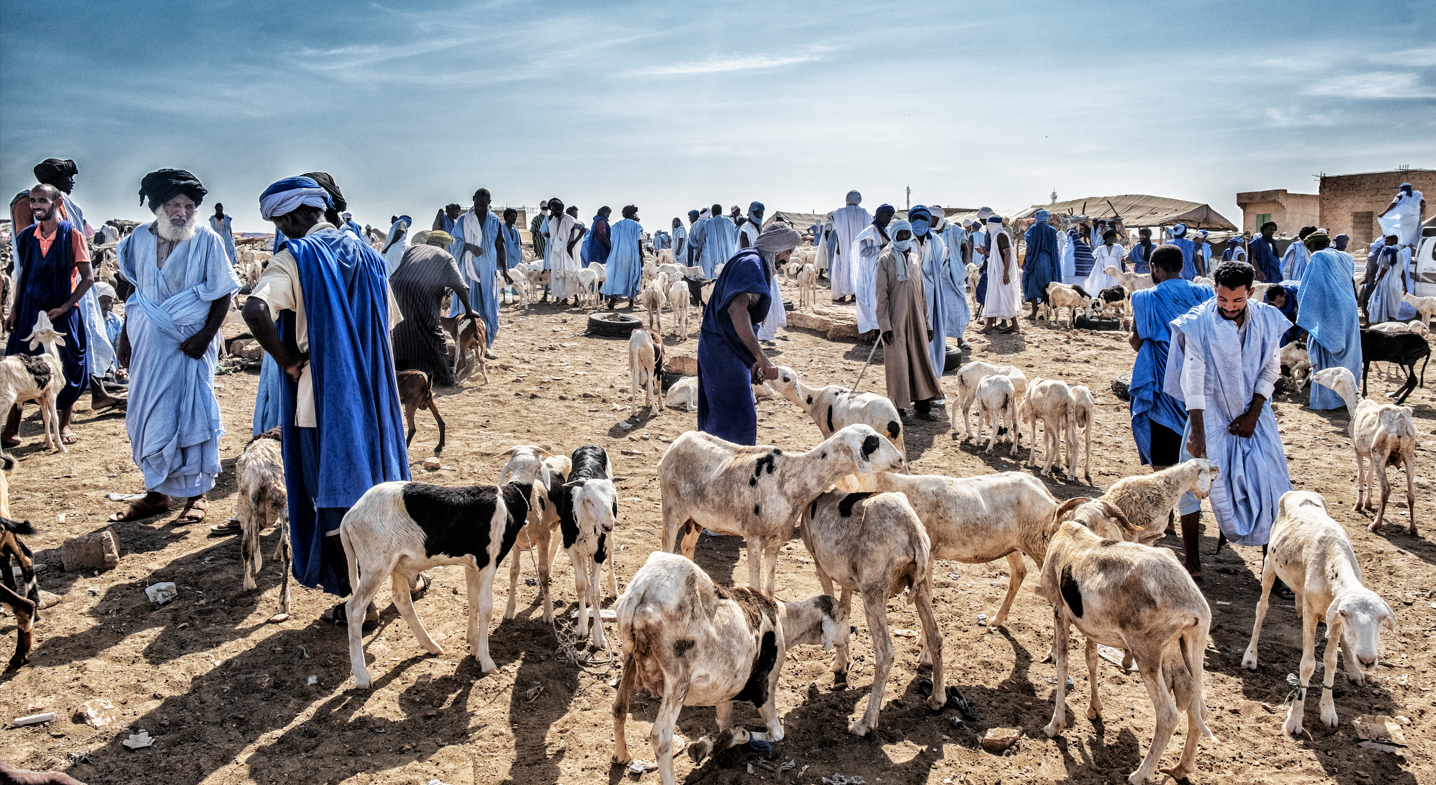 Innovation: l'élaboration du schémas d'aménagement pastoral pilote dans le Hodh El Chargui!