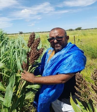 Zaid El Moctar, un modèle de réussite dans la production fourragère