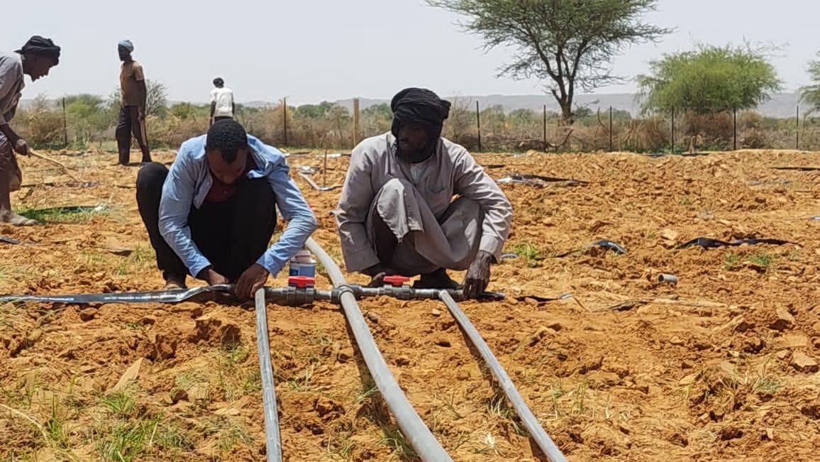 SECURALIM débute son action sur le terrain avec l'installation de l'irrigation