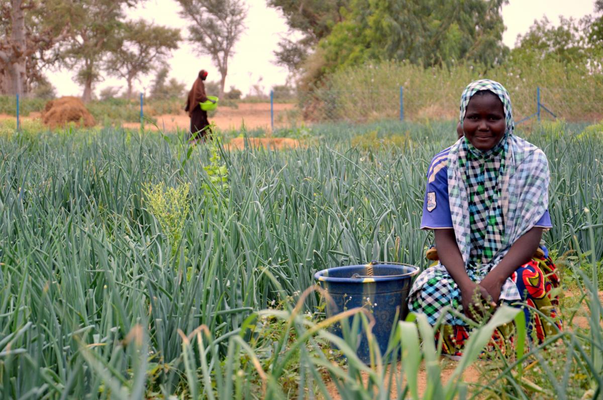 La sécurité alimentaire ne peut se penser sans les femmes rurales