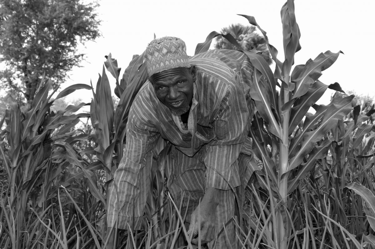  La saison de faim remplacée par une récolte d'abondance