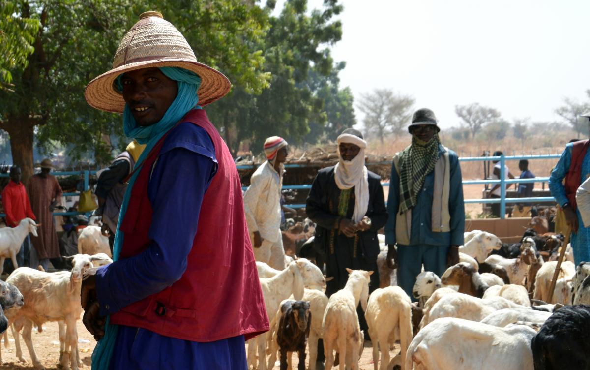 Programme d’Appui au Développement de l’Élevage « KIYO ARZIKI »