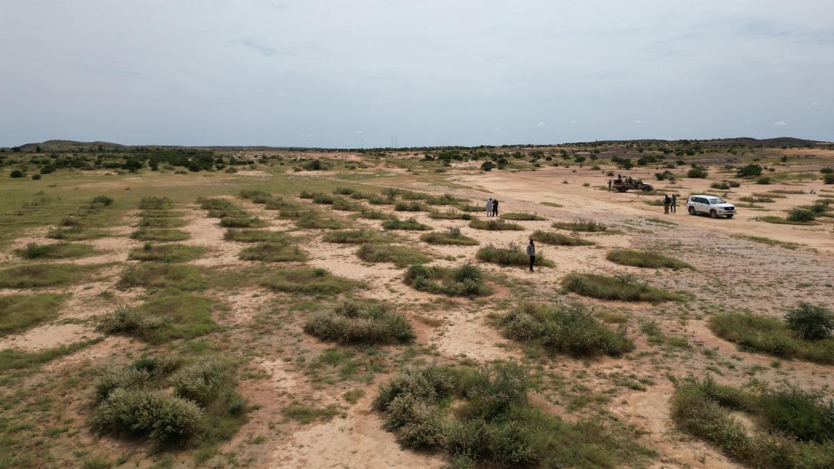 Capitalisation du projet REPO : contribuer à la résilience agro sylvo- pastorale à l’Ouest du Niger