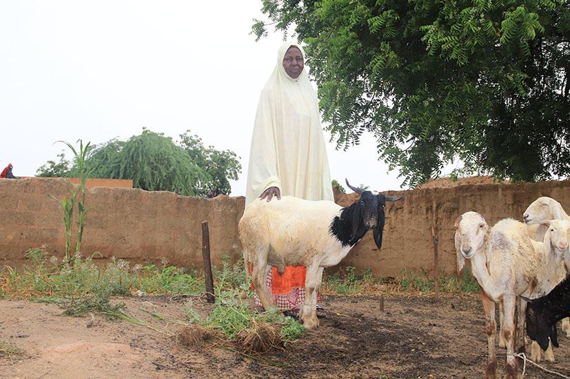 Les Champs Écoles Agro-Pastoraux (CEAP) : une solution pour renforcer l’agropastoralisme au Niger