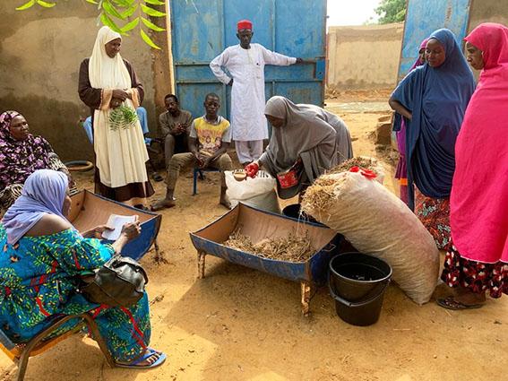 Niger : renforcement des capacités des entrepreneurs ruraux dans les filières aviculture et embouche