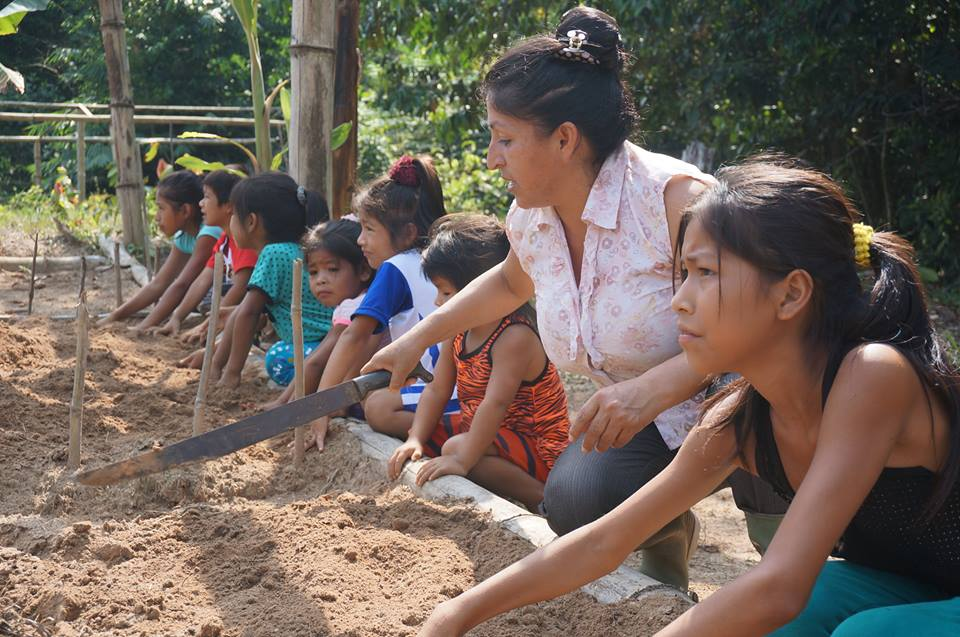 Experiencias de buenas prácticas en Educación Ambiental 