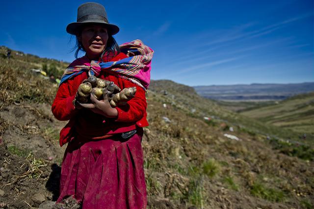 La Coopération belge participe au 10 ème Congrès International de la pomme de terre á Cusco – Pérou.