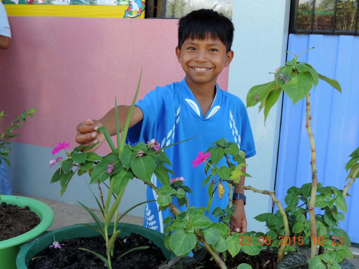 Enfoque ambiental en la educación básica