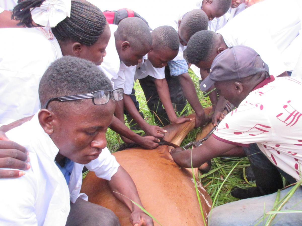 Le Projet Pilote de Formation en Alternance « PPFEA » : un outil bénéfique pour le territoire de Ngandajika 