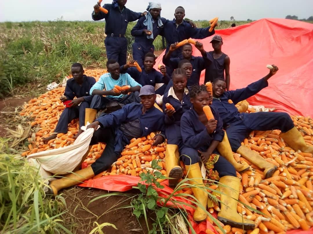 LES JEUNES DE LA FILIÈRE AGRICULTURE DÉBUTENT LEUR ACTIVITÉ