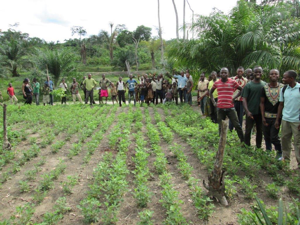 La production des sémences de qualité et le semis en ligne: deux objectifs indispensables pour l'activité agricole dans la Tshopo.