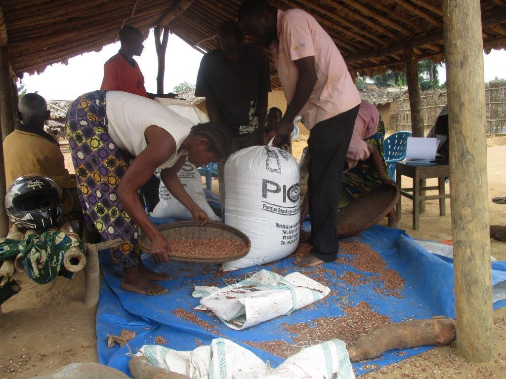 Amélioration de la conservation des récoltes en utilisant des sacs « PICS »