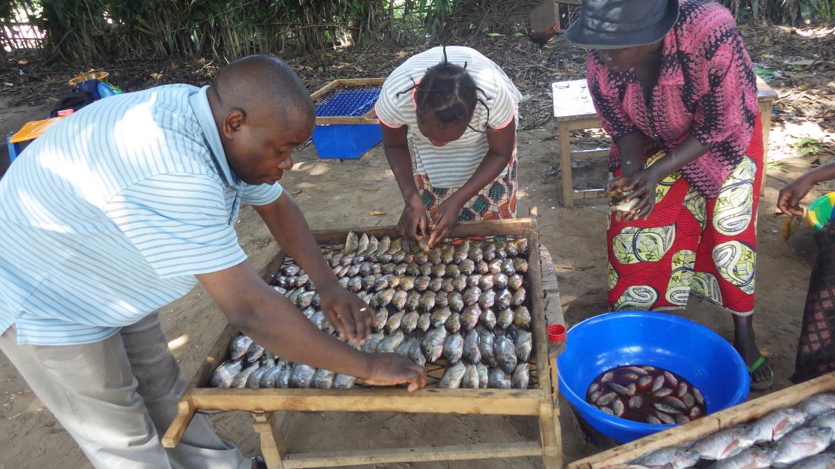 La pisciculture : outil de développement de la pêche artisanale.